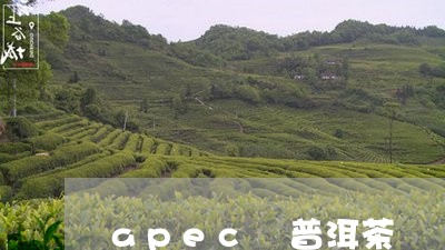 apec 普洱茶/2023031778292